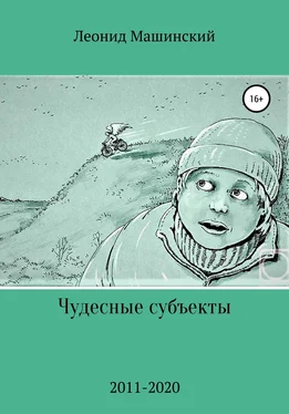 Леонид Машинский Чудесные субъекты обложка книги