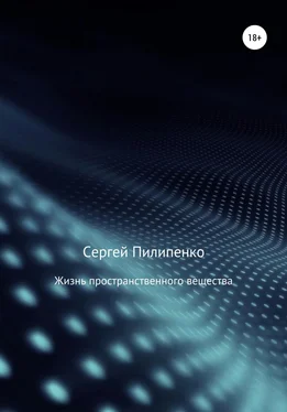 Сергей Пилипенко Жизнь пространственного вещества обложка книги