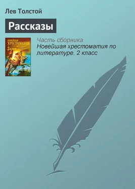 Лев Толстой Рассказы обложка книги