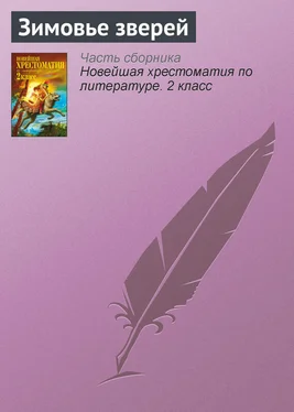 Паблик на ЛитРесе Зимовье зверей обложка книги