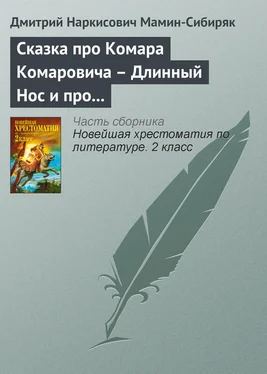 Дмитрий Мамин-Сибиряк Сказка про Комара Комаровича – Длинный Нос и про Мохнатого Мишу – Короткий Хвост обложка книги