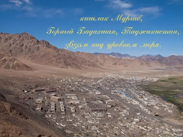 Первая трех этажка Первый этаж по центру справа Наша квартира Мургаб 1987 - фото 10