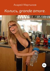 Андрей Мартынов - Колись, grande amore