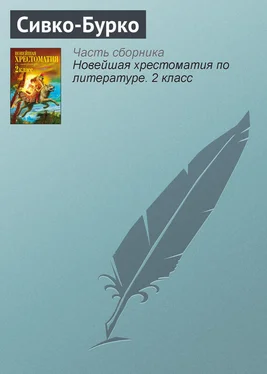 Паблик на ЛитРесе Сивко-Бурко обложка книги