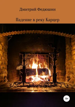 Дмитрий Федюшин Падение в реку Карцер обложка книги