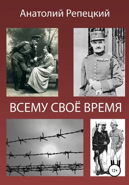 Анатолий Репецкий Всему свое время обложка книги