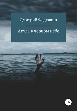 Дмитрий Федюшин Акула в черном небе обложка книги