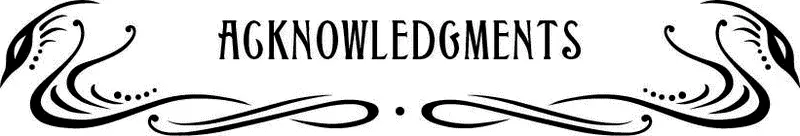 Without the patience and wisdom of Steve Kloves and David Yates there would be - фото 143