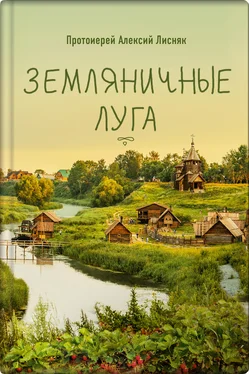 Алексий Лисняк Земляничные луга обложка книги
