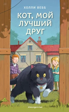 Холли Вебб Кот, мой лучший друг обложка книги