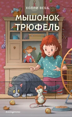 Холли Вебб Мышонок Трюфель обложка книги