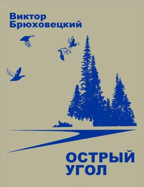 Виктор Брюховецкий Острый угол обложка книги