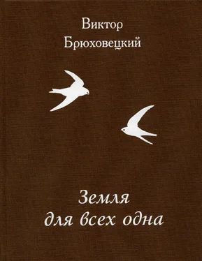 Виктор Брюховецкий Земля для всех одна обложка книги