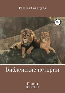 Галина Савицкая Библейские истории 2 обложка книги