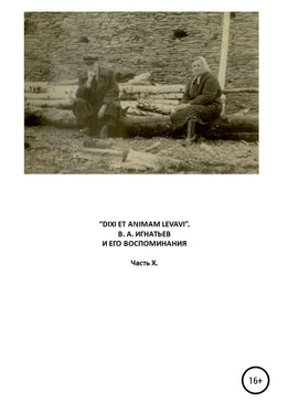 Василий Игнатьев «Dixi et animam levavi». В.А. Игнатьев и его воспоминания. Часть X обложка книги