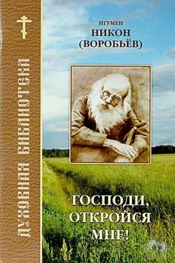 Игумен Никон(Воробьёв) Господи, откройся мне обложка книги