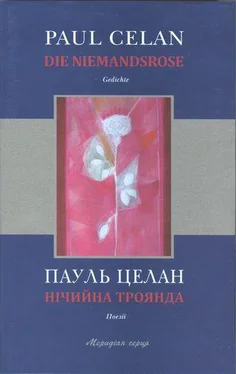 Пауль Целан Нічийна троянда обложка книги