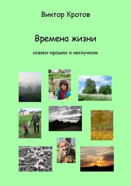 Виктор Кротов Времена жизни. Сказки-крошки о нескучном обложка книги