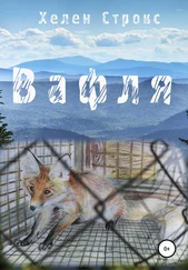 Хелен Строкс - Вафля