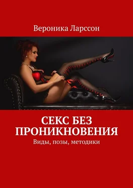 Вероника Ларссон Секс без проникновения. Виды, позы, методики обложка книги