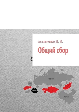 Д. Астапенко Общий сбор обложка книги