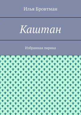 Илья Бровтман Каштан. Избранная лирика обложка книги
