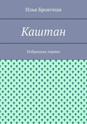Илья Бровтман - Каштан. Избранная лирика