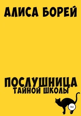 Алиса Борей Послушница тайной школы обложка книги