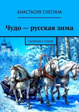 Анастасия Снегина Чудо – русская зима. Сборник стихов обложка книги