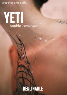 Sophie Iremonger Yeti обложка книги