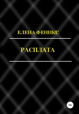 Елена Феникс Расплата обложка книги