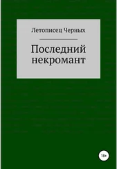 Летописец Черных - Последний некромант