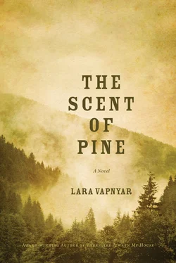 Lara Vapnyar The Scent of Pine обложка книги