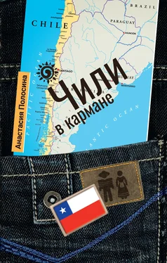 Анастасия Полосина Чили в кармане обложка книги