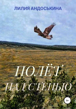 Лилия Андоськина Полёт над степью обложка книги