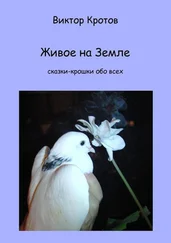 Виктор Кротов - Живое на Земле. Сказки-крошки обо всех