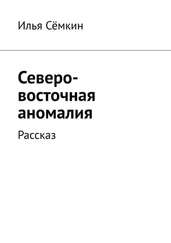 Илья Сёмкин - Северо-восточная аномалия. Рассказ