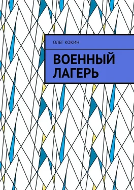 Олег Кокин Военный лагерь обложка книги