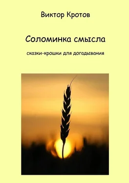 Виктор Кротов Соломинка смысла. Сказки-крошки для догадывания обложка книги