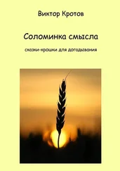 Виктор Кротов - Соломинка смысла. Сказки-крошки для догадывания