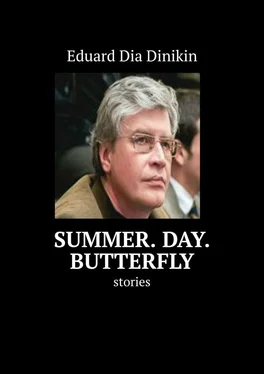 Eduard Dinikin Summer. Day. Butterfly. Stories обложка книги