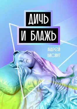 Андрей Висмут Дичь и блажь обложка книги