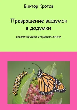 Виктор Кротов Превращение выдумок в додумки. Сказки-крошки о чудесах жизни обложка книги