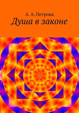 А. Петрова Душа в законе обложка книги