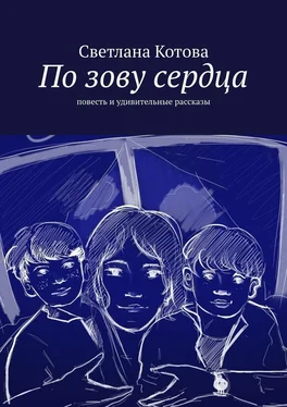 Светлана Котова По зову сердца. Повесть и удивительные рассказы обложка книги