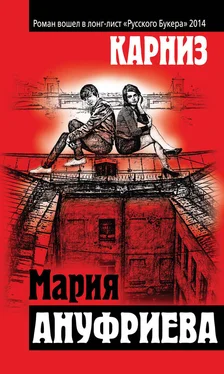 Мария Ануфриева Карниз обложка книги