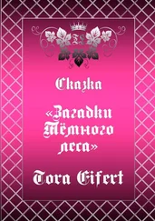 Tora Eifert - Сказка «Загадки Тёмного леса»