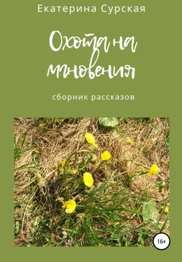 Екатерина Сурская Охота на мгновения. Сборник рассказов обложка книги