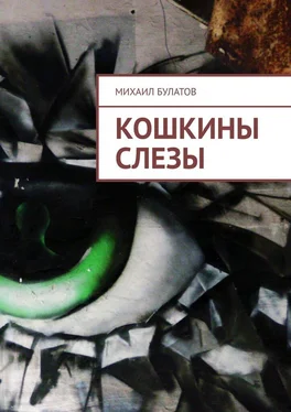 Михаил Булатов Кошкины слезы обложка книги