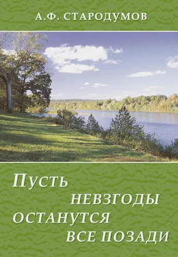 Александр Стародумов Пусть невзгоды останутся все позади обложка книги